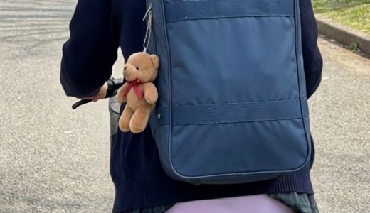 【幸運を引き寄せるパンチラ💘】四つ葉クローバーの1000倍の運気を楽しむ✨