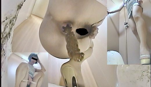 汲み取り仮設トイレ（1）